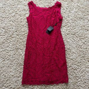NWT pink lace dress by Adrianna Papell